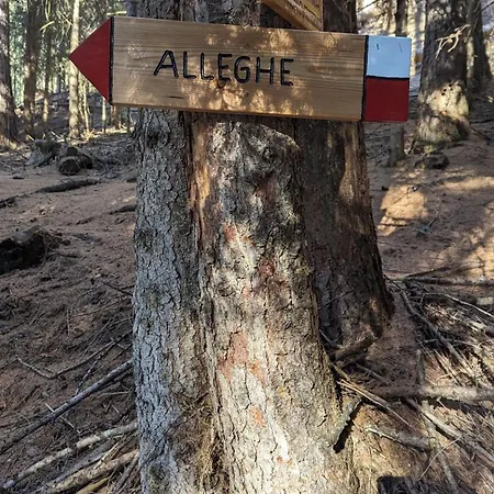 Vila Molin Del Faure Alleghe