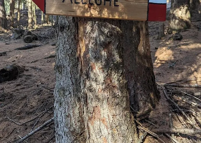 Willa Molin Del Faure Alleghe